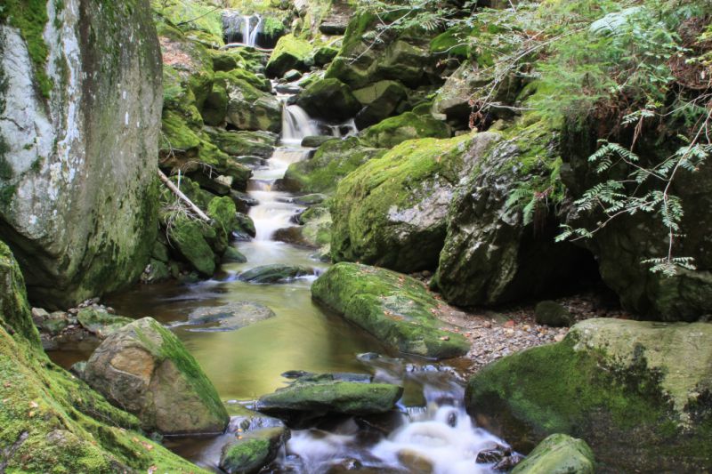 Steinklamm, Spiegelau