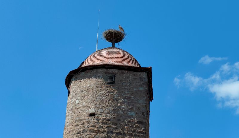 Storchennest Mönchsturm