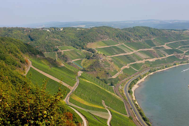 Bopparder Hamm, Boppard