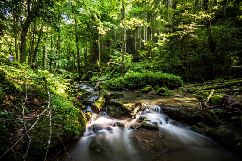 Monbachtal, Bad Liebenzell