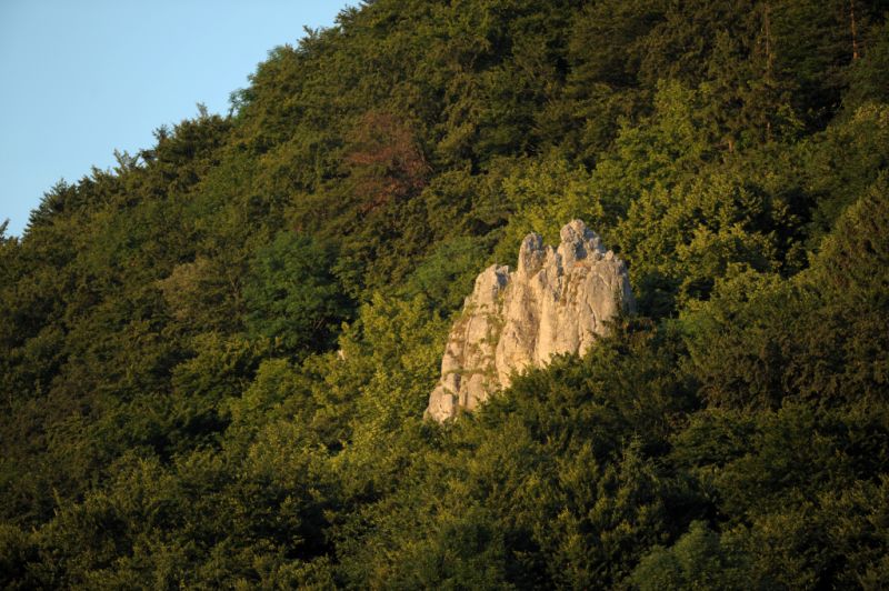 Rifflerfelsen, Vorra