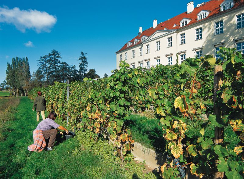 Schloss Rattey, Schönbeck