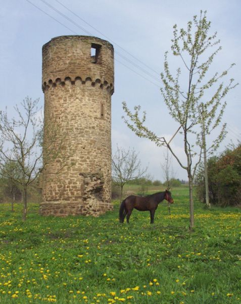 Stifterhof, Östringen