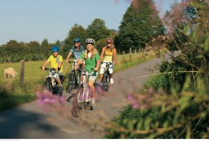 Sauerland-Radring mit Fledermaustunnel