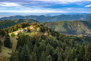Neun Wandertipps mit Einkehrmöglichkeit in Schwarzwälder Hütten und Gasthöfen