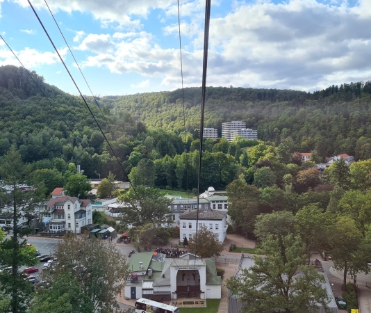 Per Seilbahn oder durchs Unterholz zu wilden Tieren