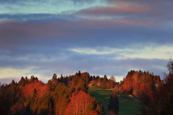 Wenn der Herbst traumhaft golden leuchtet: