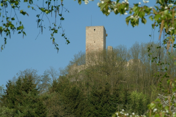 Oberpfälzer Wald: