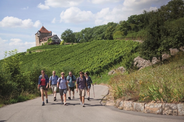 Weinparadies Heilbronner Land