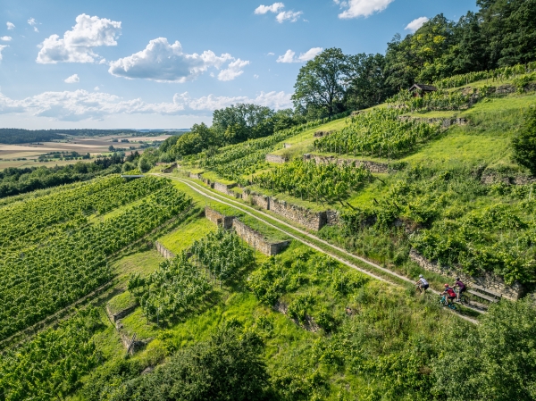 Die Früchtetrauf-Region im Landkreis Tübingen lockt mit vielfältigen Routen