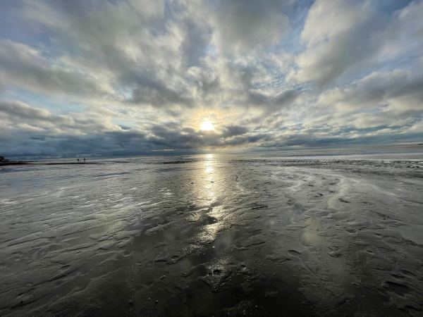 Die Marine- und Hafenstadt bietet vielfältige, kulinarische Genüsse