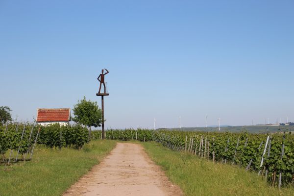Rheinhessen