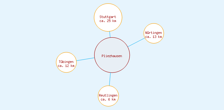 Distanzen Pliezhausen