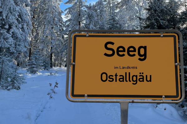 Seeg